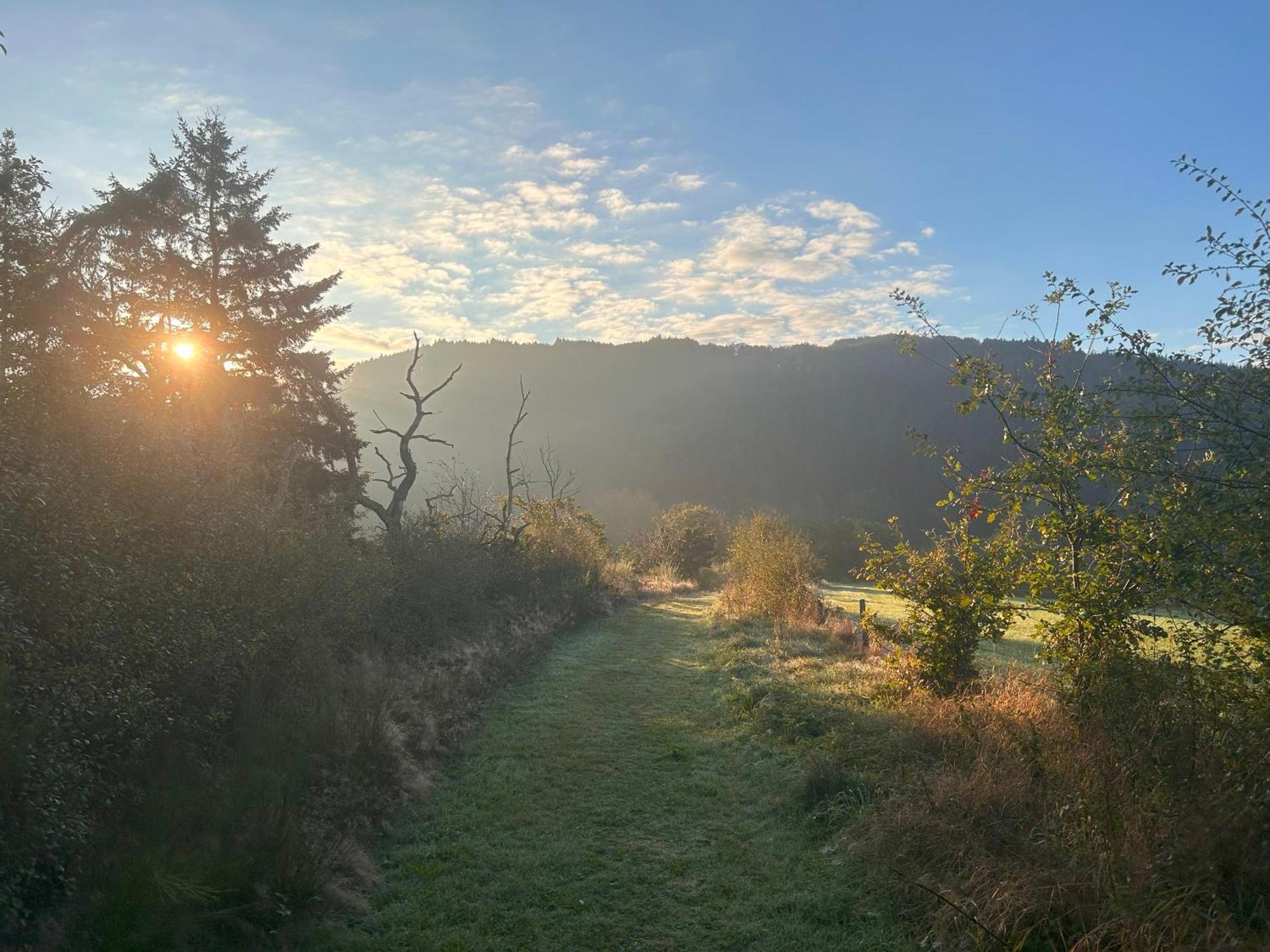 Herberg Restaurant - Im Pfenn 3*